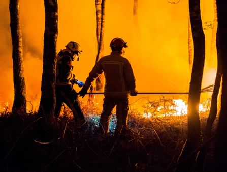 Expertises Overzichtspagina kleinerbestand