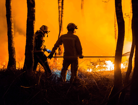 Expertises Overzichtspagina kleinerbestand